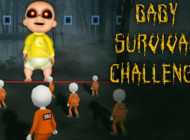 Baby Survival Challenge