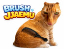 Brush Jjaemu