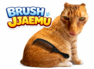 Brush Jjaemu