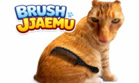 Brush Jjaemu
