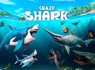 Crazy Shark