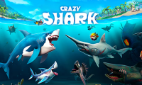 Crazy Shark
