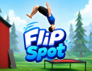Flip Spot