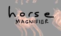 Horse Magnifier