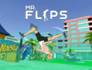 Mr Flip