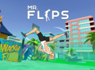 Mr Flip