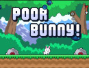 Poor Bunny