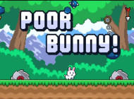 Poor Bunny