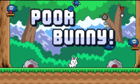 Poor Bunny