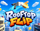Rooftop Flip