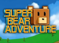 Super Bear Adventure