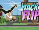 Wacky Flip